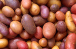 Colored Potatoes